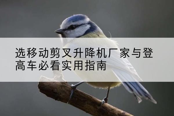 凌海电动升降机厂家-选移动剪叉升降机厂家与登高车必看实用指南