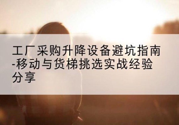 凌海移动式升降机怎么选-工厂采购升降设备避坑指南-移动与货梯挑选实战经验分享