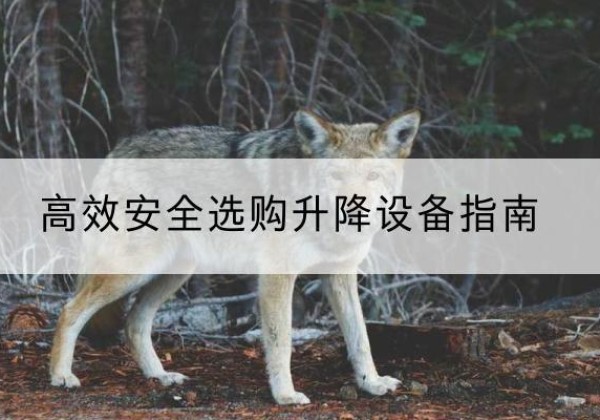 凌海升降货梯厂家推荐-*安全选购升降设备指南